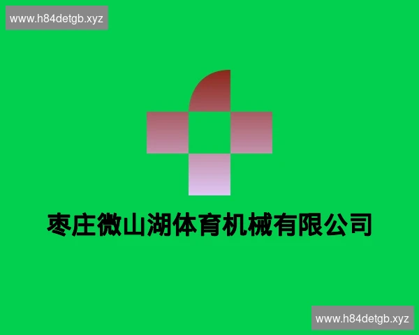 枣庄微山湖体育机械有限公司