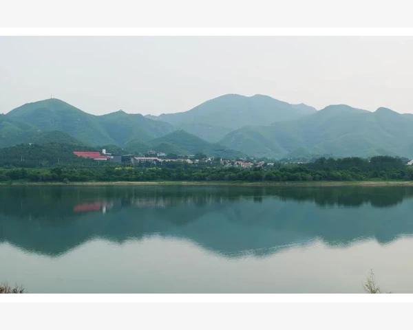 活动锻炼手腕，吃什么能增强功效？手部健康需中医细致呵护
