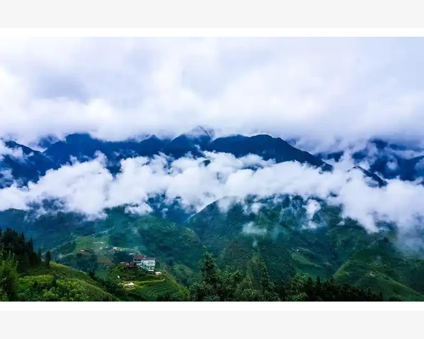 中医食疗调理脾胃湿气，轻松拥有好身体